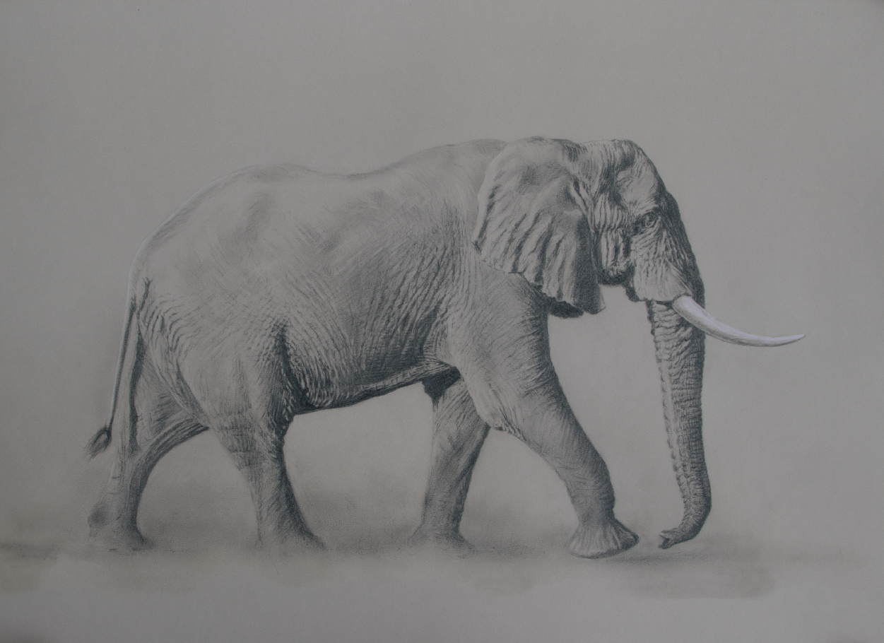 Africa Elephant Images/Paintings/Art Afrikanischer Elefant Kunst/ Bild/ Gemälde