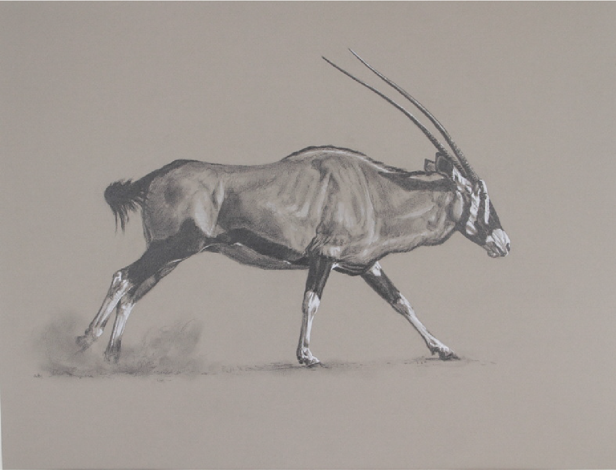 Running Gemsbok | Ashley Boon | Wildlife Artist | Big Game Hunting